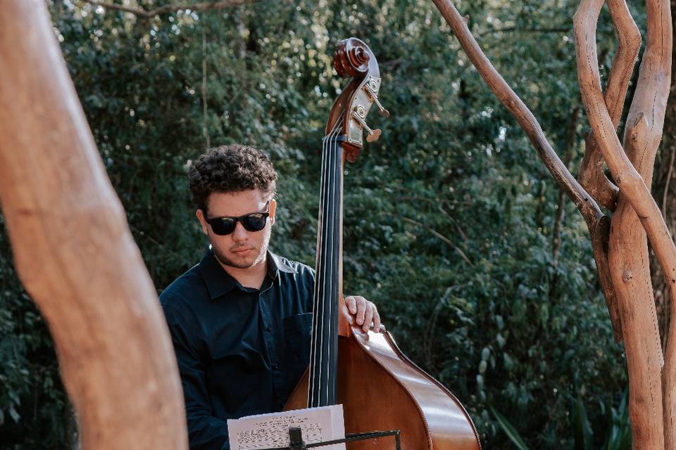 🎻