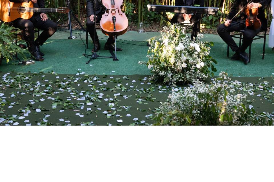 🎶