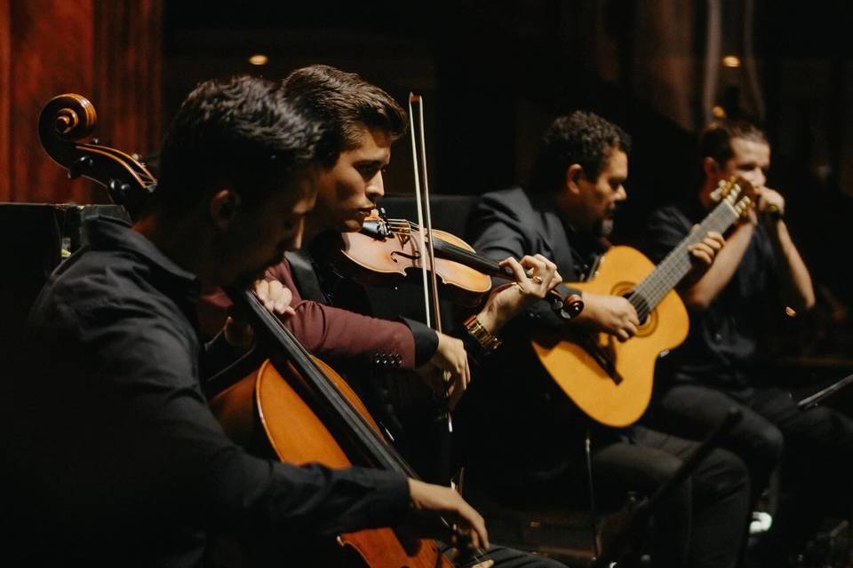 🎶