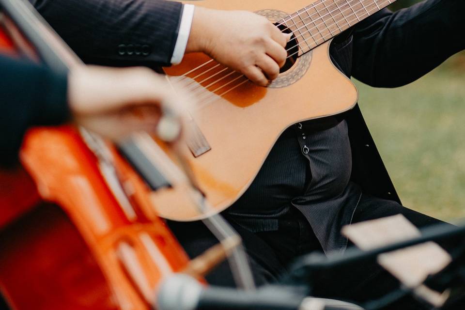 🎶