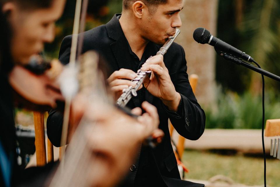 🎶