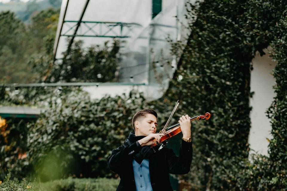 🎶