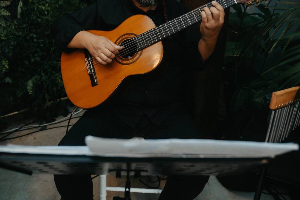 🎶