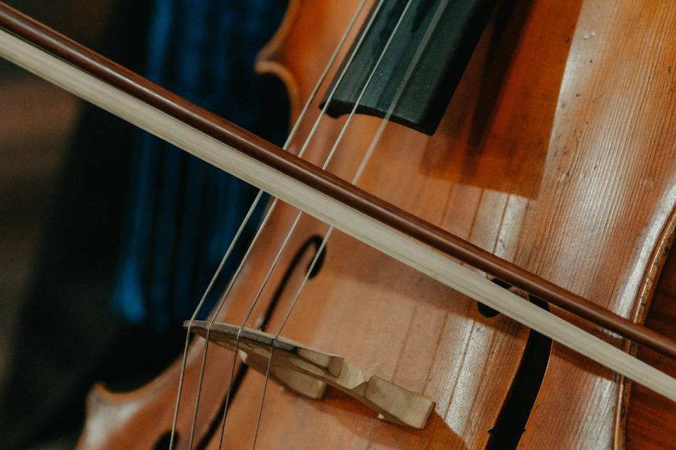 🎶