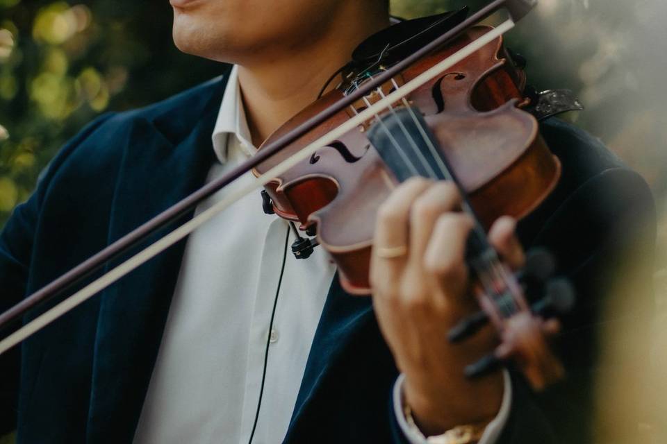 🎶