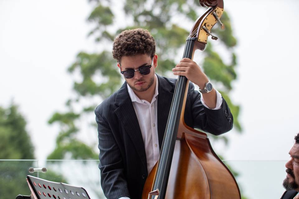🎻