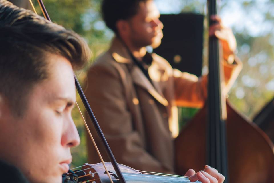 🎻