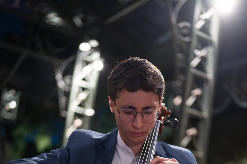 🎻