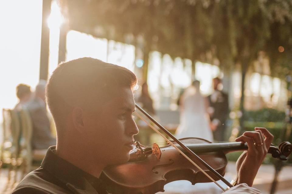 🎻