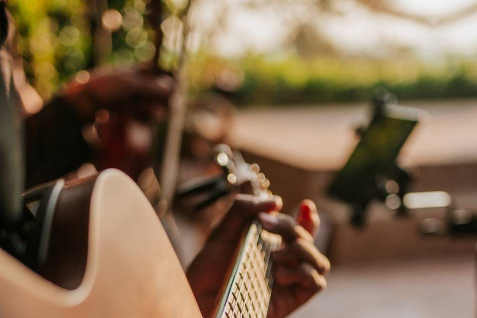 🎸