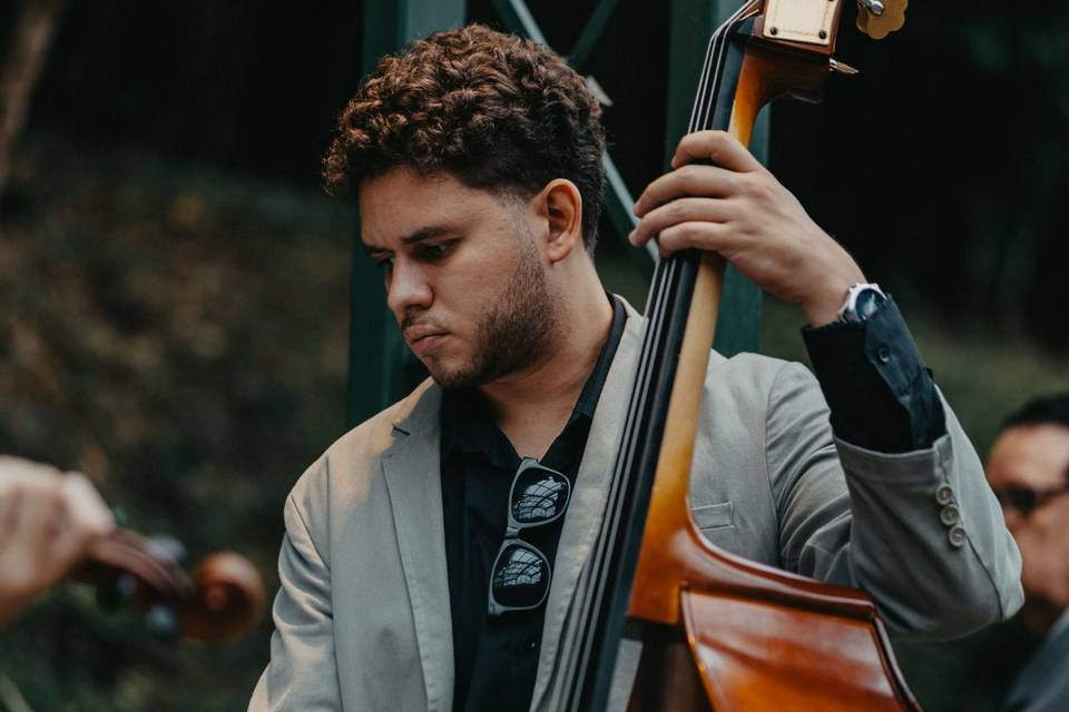 🎻