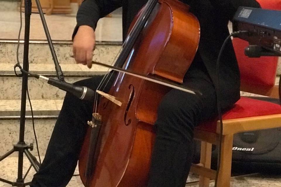 Cello - Maringá - PR