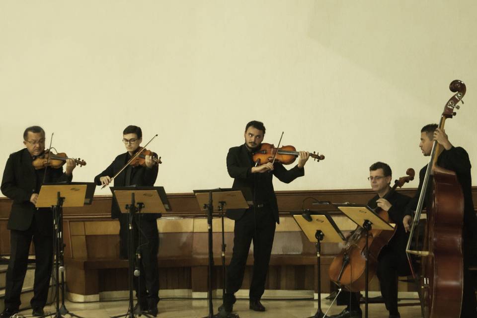 Cerimônia Quinteto de Cordas