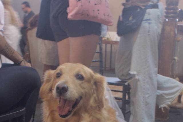 Nina, nossa modelo