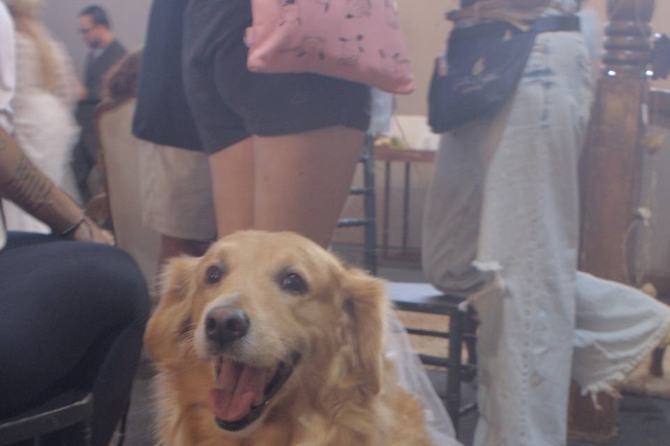 Nina, nossa modelo