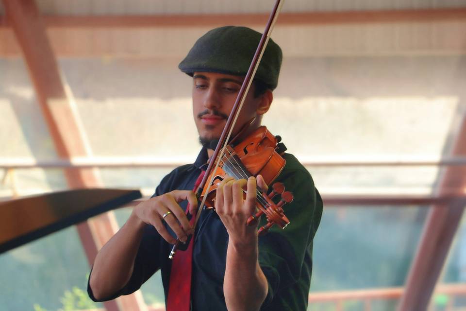 Violino