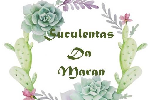 Suculentas da Maran