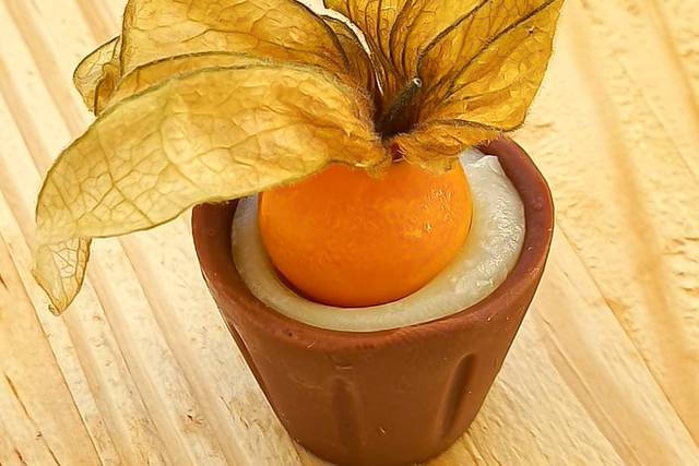 Copinho de physalis