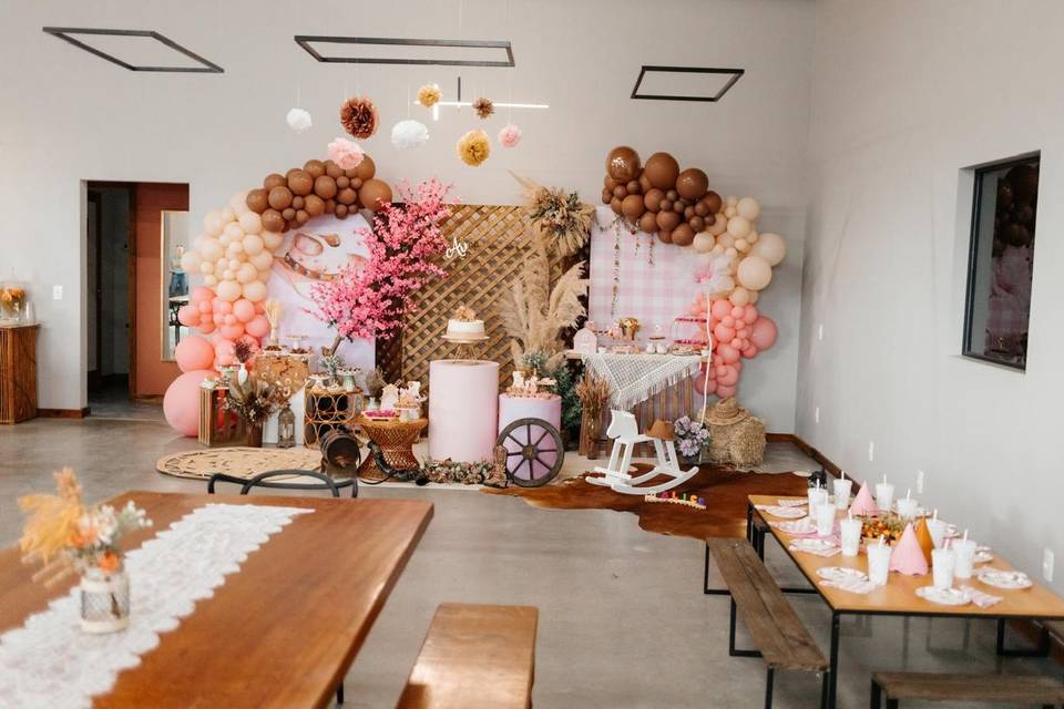 Aniversário Infantil Master