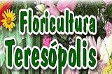 Floricultura Teresópolis