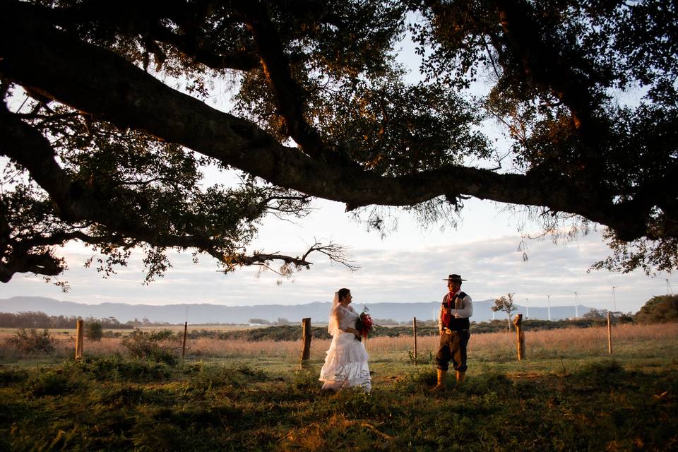 Love and Weddings