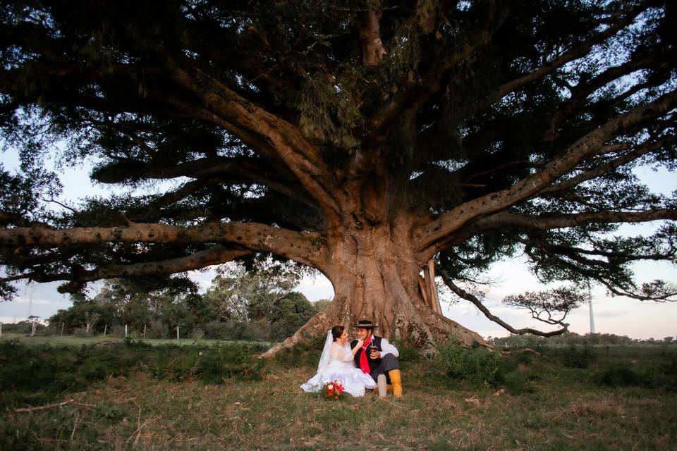Love and Weddings