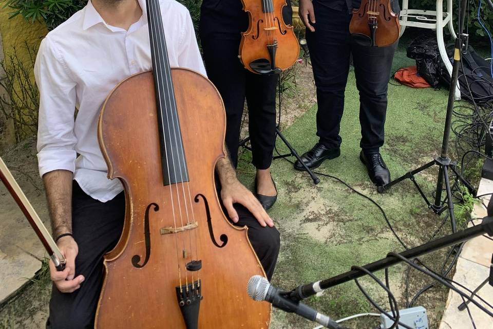 Trio de Cordas