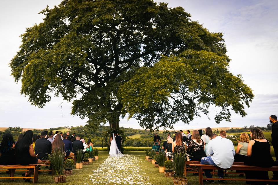 Fotografia de Casamento