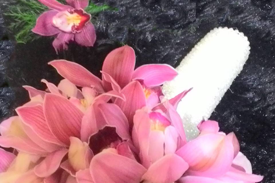Acácia Flores Floricultura