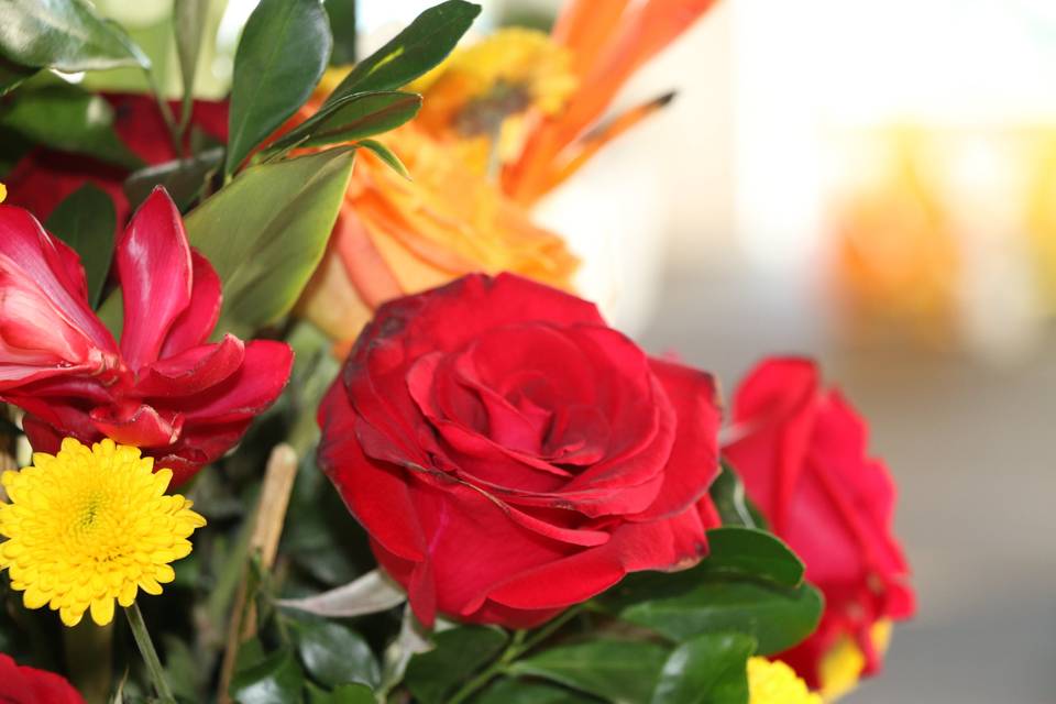 Flores
