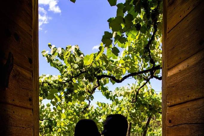 Daniel Teixeira Fotos