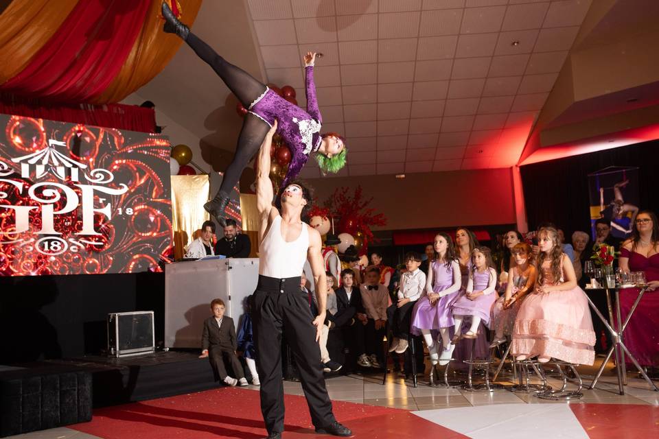 Performance Acrobatica
