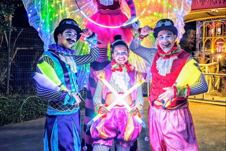 Recepção com Brinquedos de Luz
