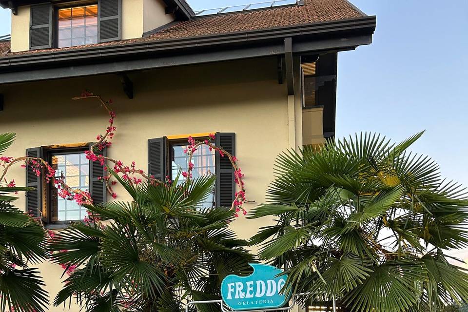 Freddo Gelateria