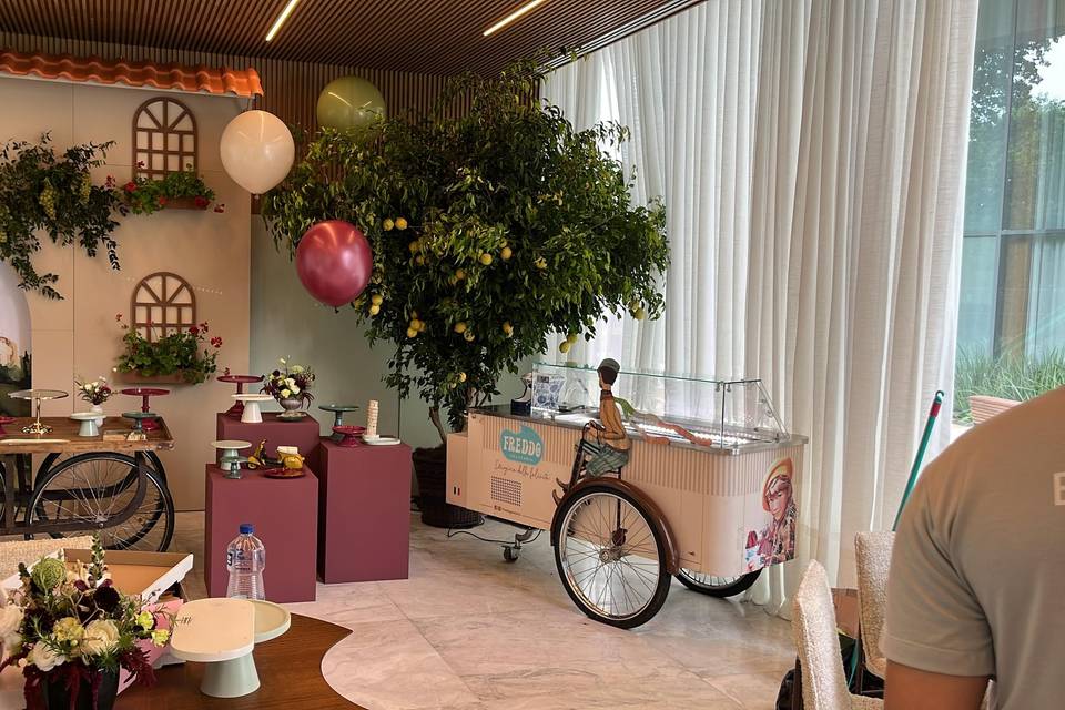 Freddo Gelateria