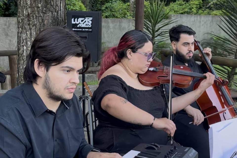 Viamão
