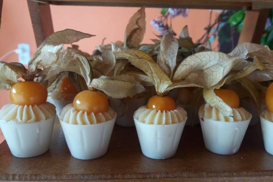 Copinho physalis