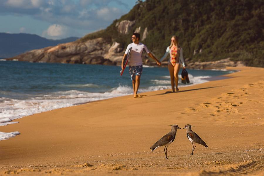 Pré-wedding na praia