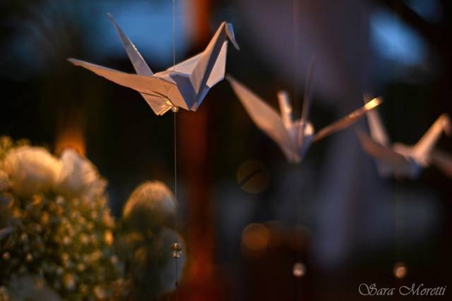 Decoração - Casamento Budista