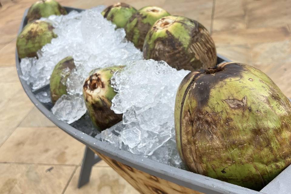 Barca de água de coco