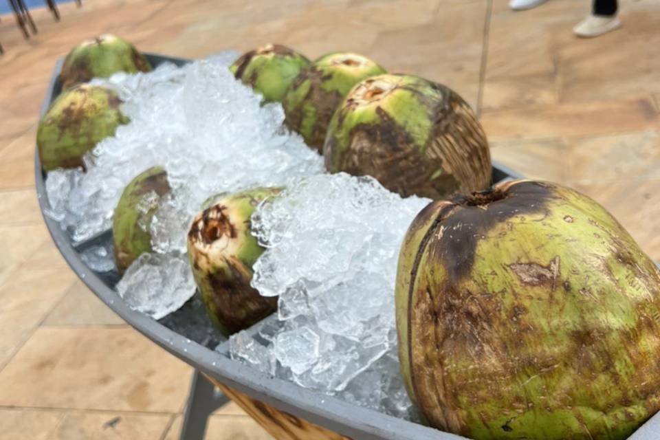 Barca de água de coco