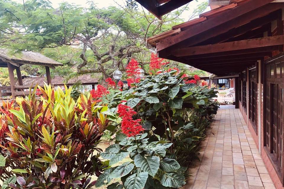 Flores