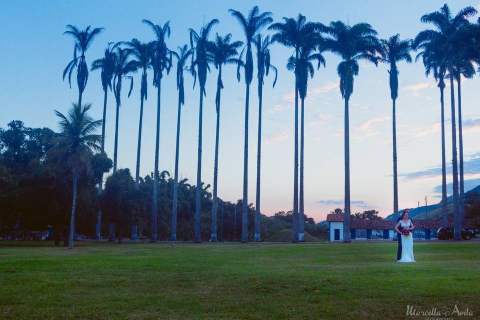 Fazenda São Luiz da Boa Sorte