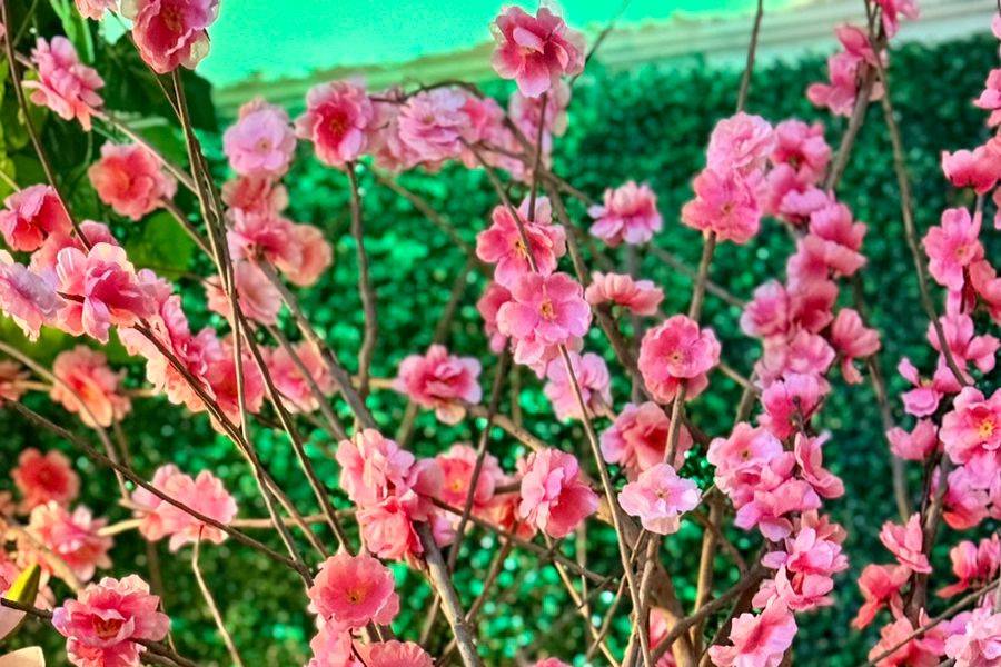 Decoração interna -