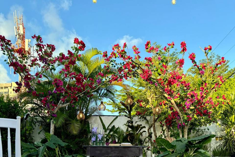 Área de cerimônia - 2