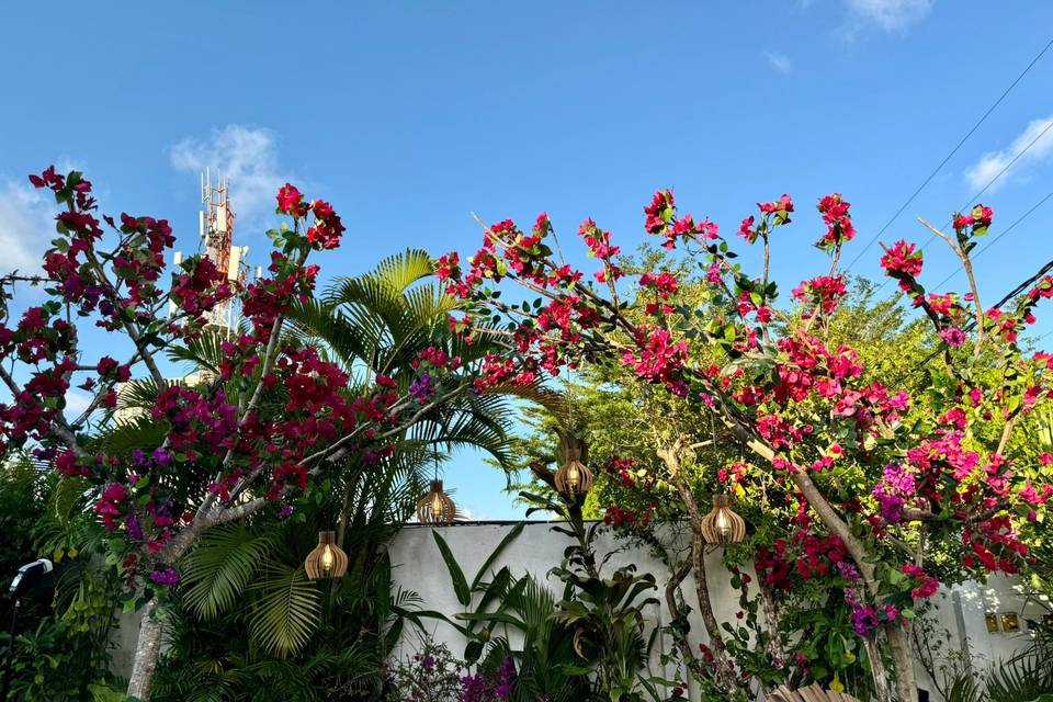 Decoração externa - 5