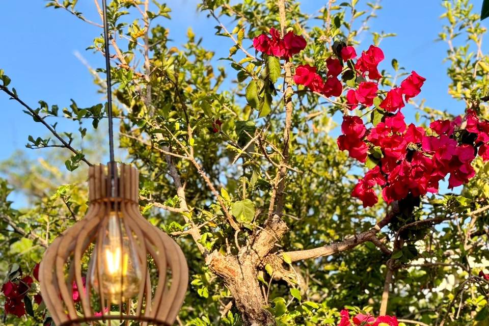 Decoração externa - 3