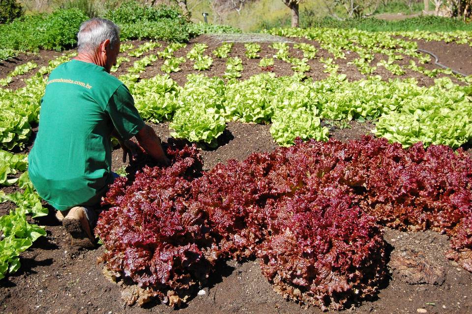 Horta serra bonita