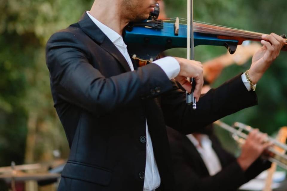 Violino