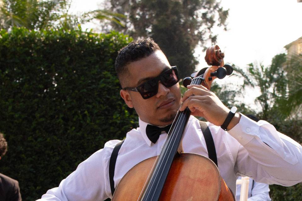 Cello
